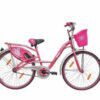 best bicycle dealer in tirunelveli, best cycle shop in tirunelveli, cycles shop near me