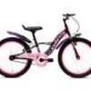 best bicycle dealer in tirunelveli, best cycle shop in tirunelveli, cycles shop near me